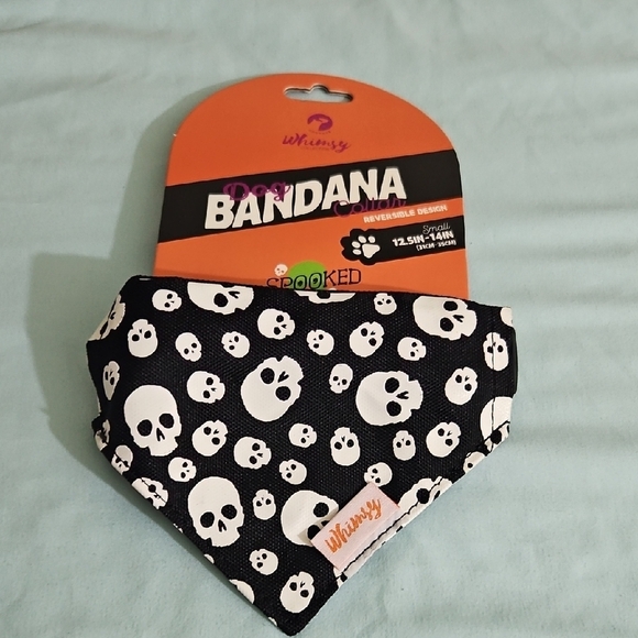 Halloween Pet Tee - Black and Orange - Picture 3 of 5